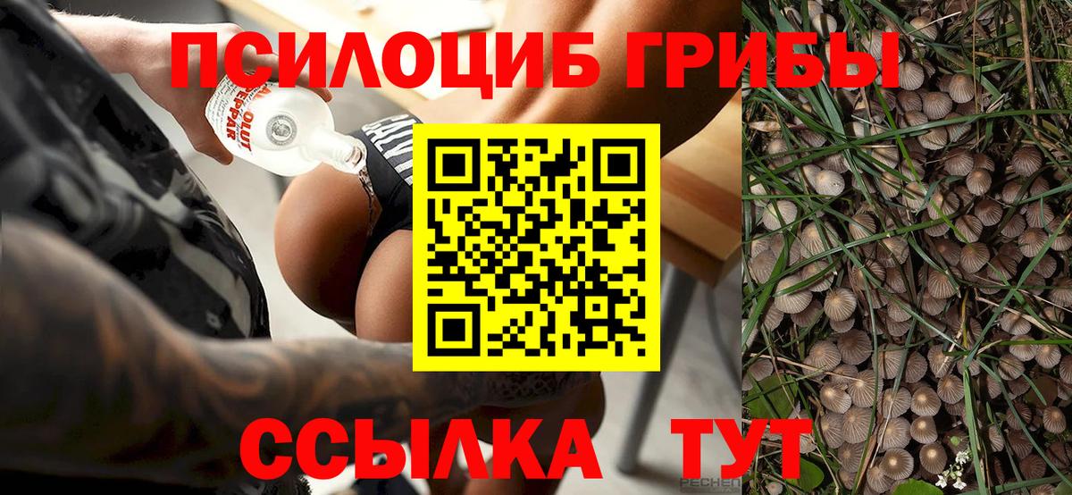 Галлюциногенные грибы ЛСД Белогорск